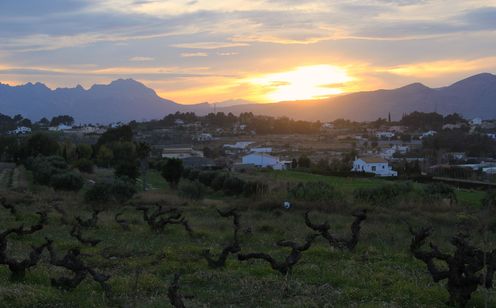 Gastronomie in Jalón